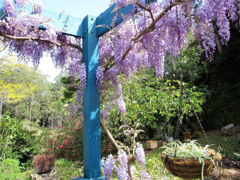 99A Fuerte Drive, Valla NSW 2448