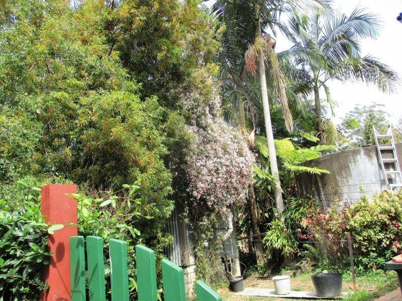 99A Fuerte Drive, Valla NSW 2448