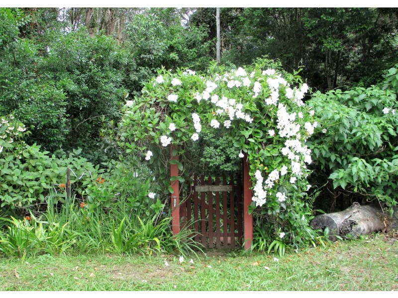 99A Fuerte Drive, Valla NSW 2448