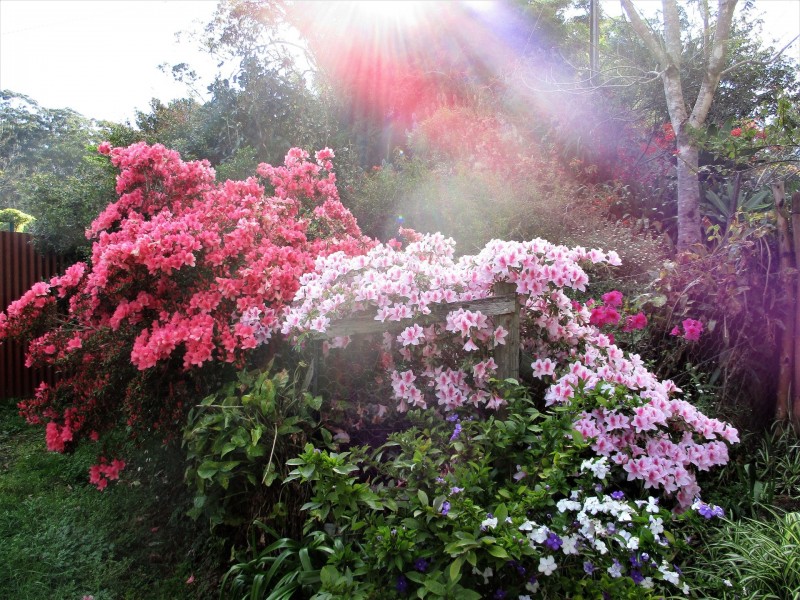 99A Fuerte Drive, Valla NSW 2448