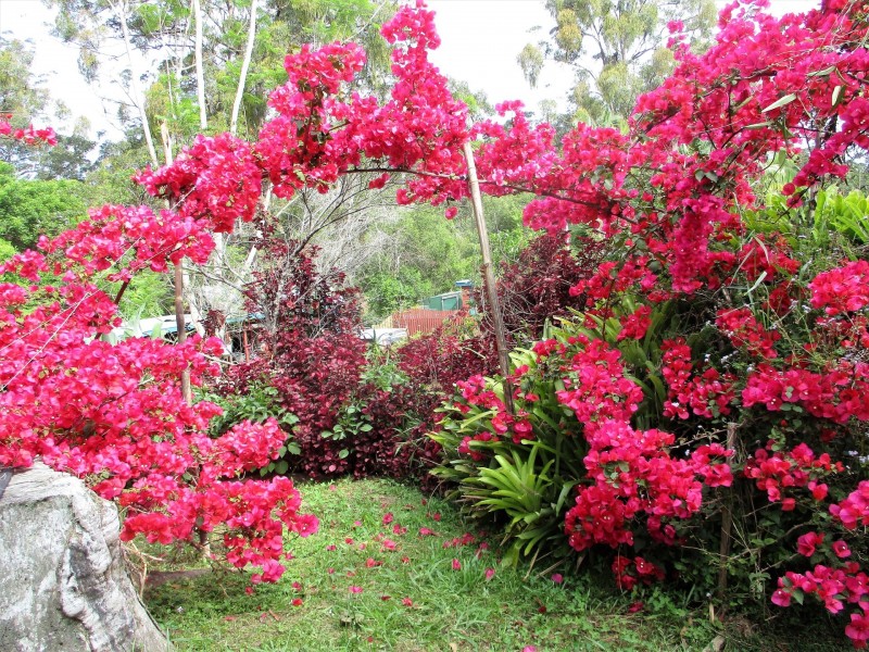 99A Fuerte Drive, Valla NSW 2448