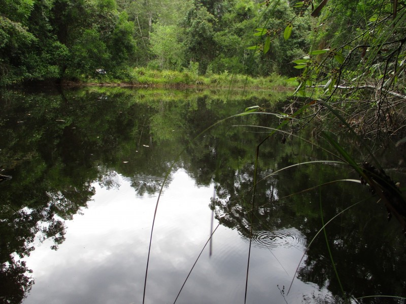 99A Fuerte Drive, Valla NSW 2448