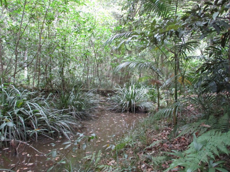 99A Fuerte Drive, Valla NSW 2448