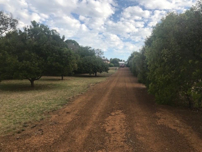 17 Federal Street, Mckail WA 6330