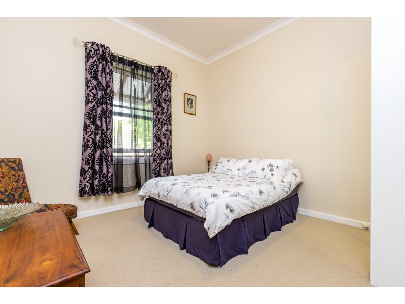29 Allan Street, Lorn NSW 2320