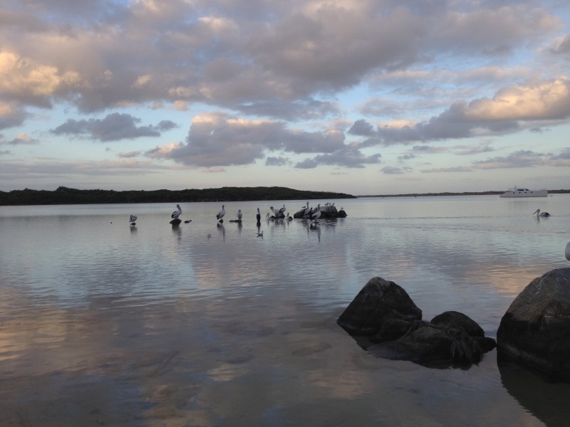 2/9 Blackwood Avenue, Augusta WA 6290