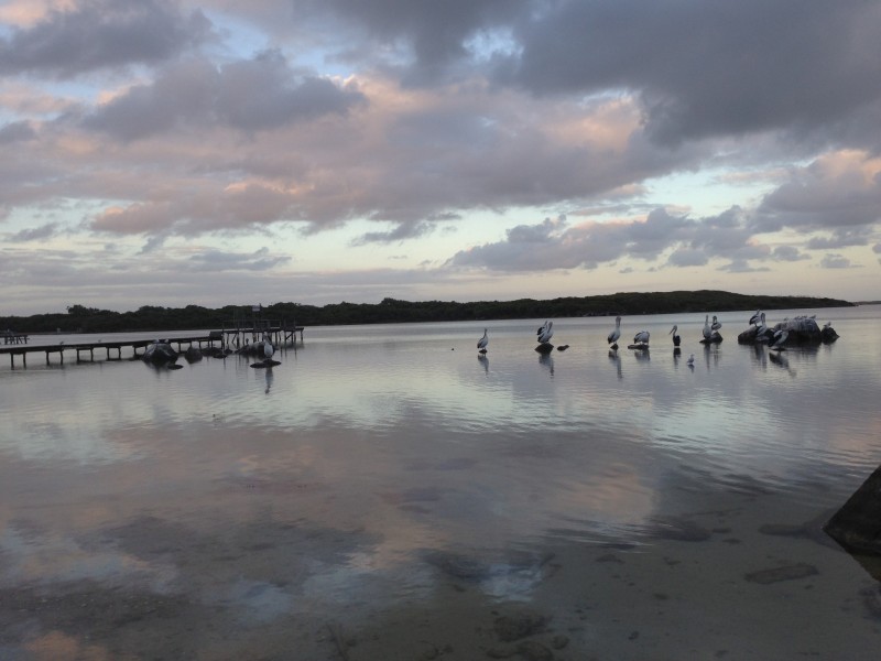 2/9 Blackwood Avenue, Augusta WA 6290