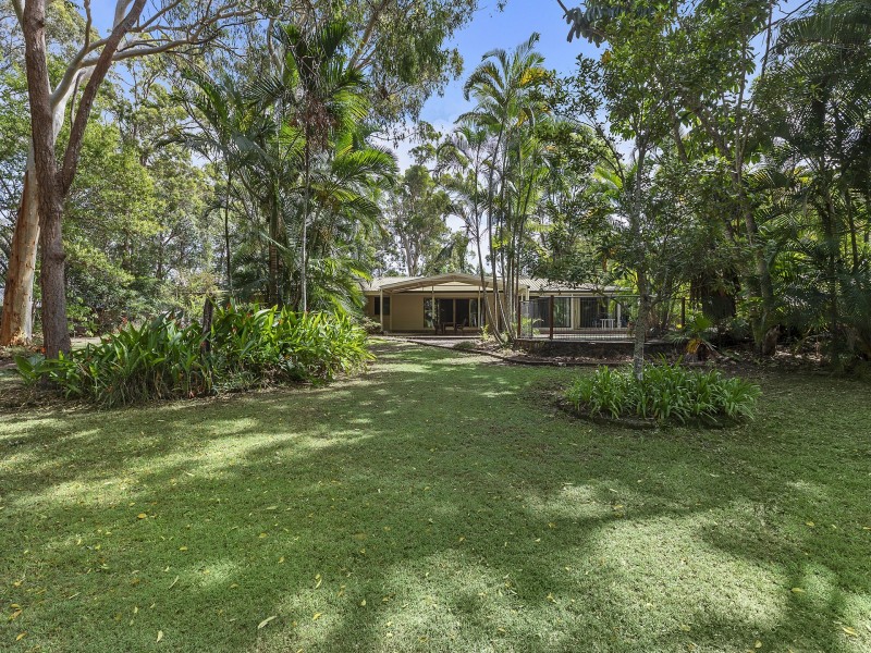 11 Casuarina Drive, Little Mountain QLD 4551