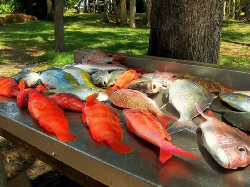 26/383 North Street, Wooli NSW 2462