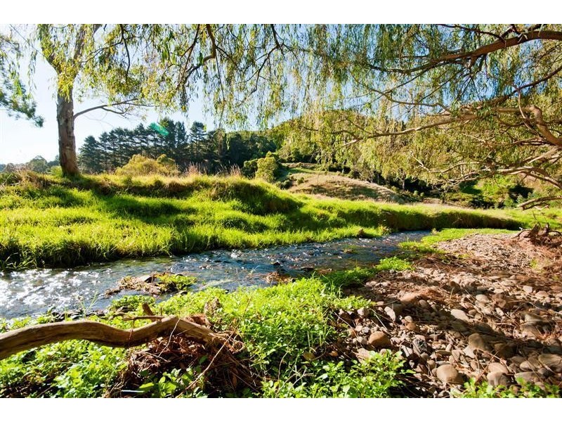 95 Wild Dog Road, Apollo Bay VIC 3233