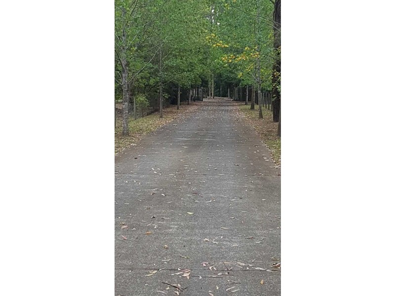 6 Lowana Close, Tapitallee NSW 2540