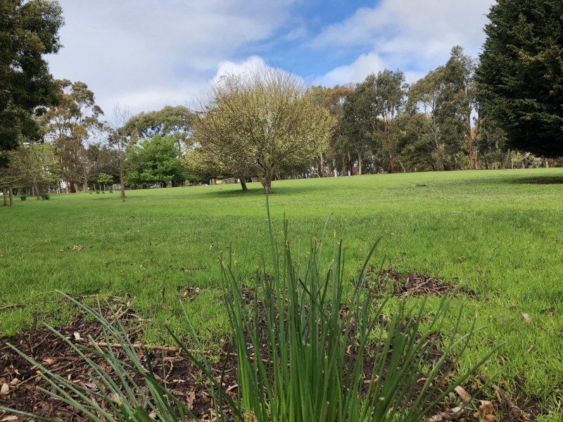 87 Rodger Place, Bushfield VIC 3281