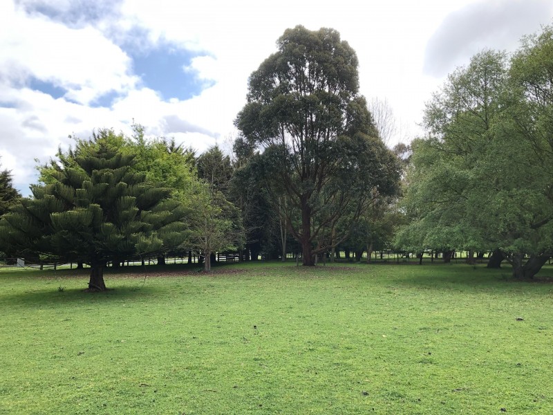 87 Rodger Place, Bushfield VIC 3281