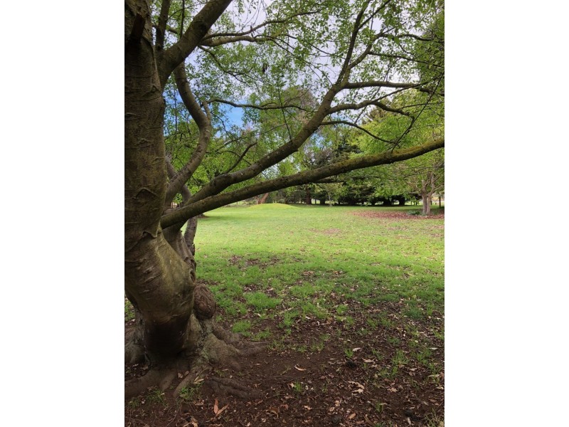 87 Rodger Place, Bushfield VIC 3281