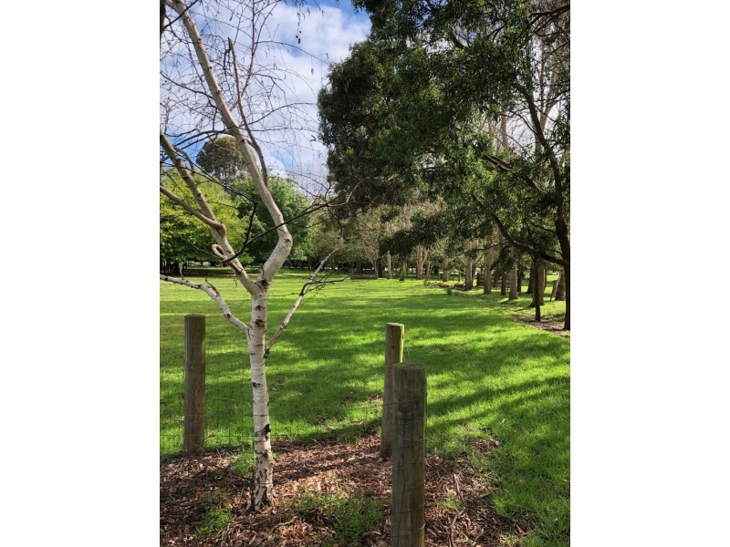 87 Rodger Place, Bushfield VIC 3281