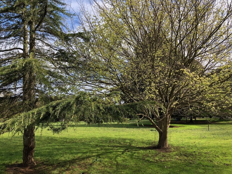 87 Rodger Place, Bushfield VIC 3281