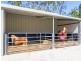 703 Atkinsons Dam Road, Atkinsons Dam QLD 4311