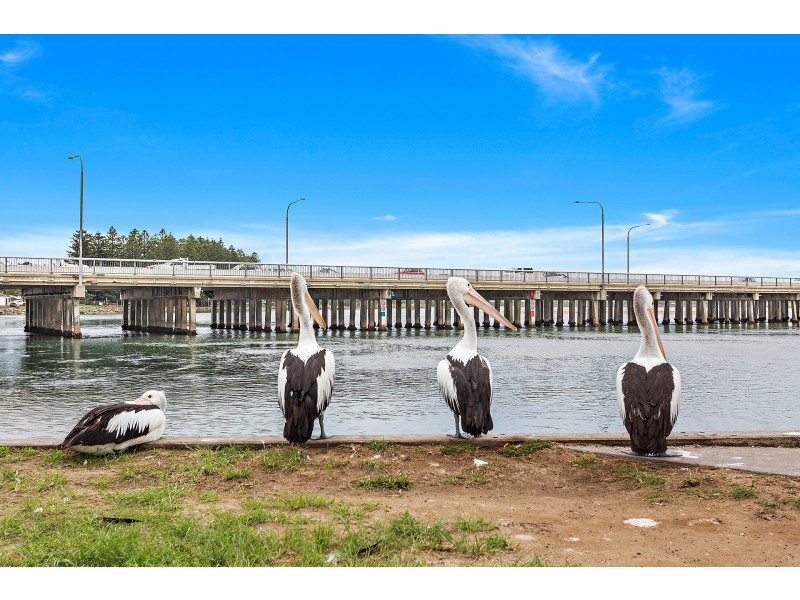 217/19 Judbooley Parade, Windang NSW 2528