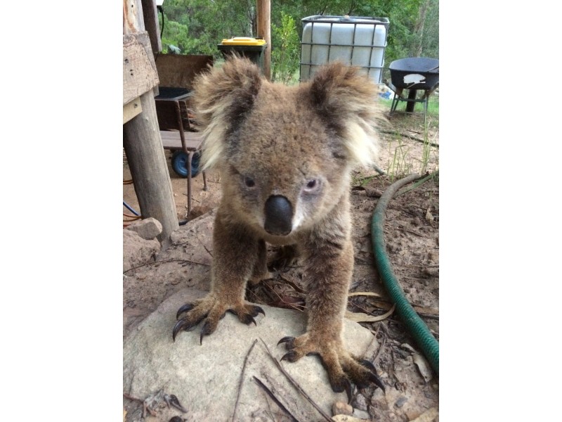 175 Knights Road, Laguna NSW 2325