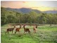 568 Glenhowden Road, Colinton QLD 4306