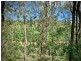 568 Glenhowden Road, Colinton QLD 4306