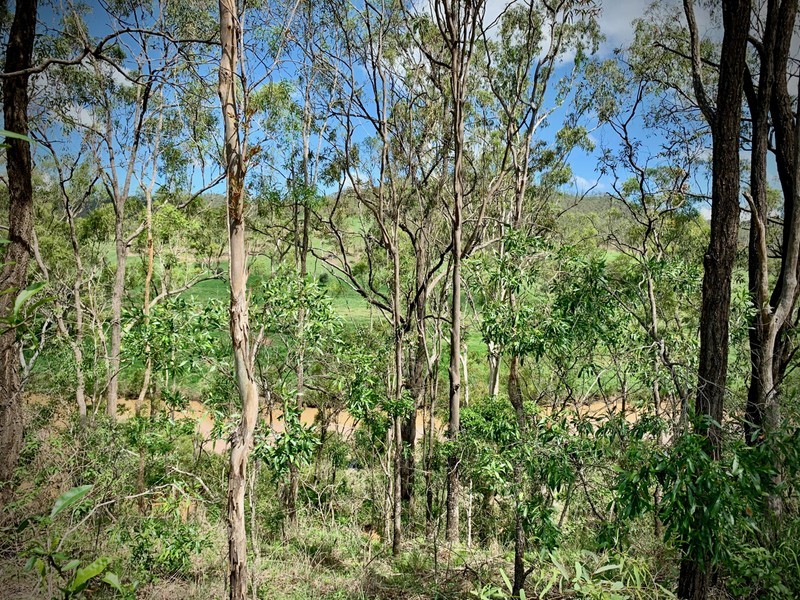 568 Glenhowden Road, Colinton QLD 4306