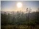 568 Glenhowden Road, Colinton QLD 4306