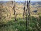 568 Glenhowden Road, Colinton QLD 4306