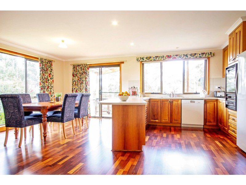 135 Maloneys Road, Sunnyside TAS 7305