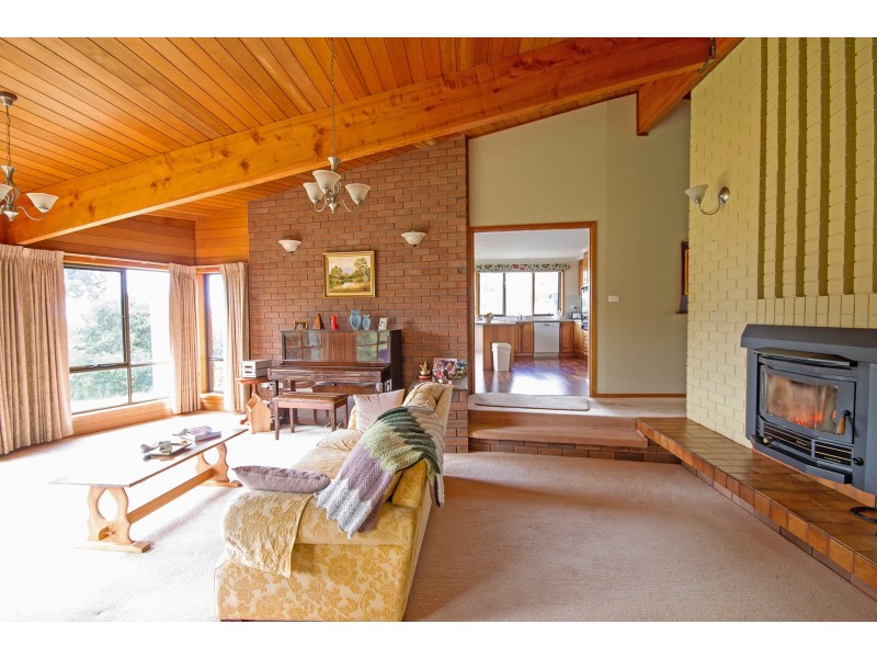 135 Maloneys Road, Sunnyside TAS 7305
