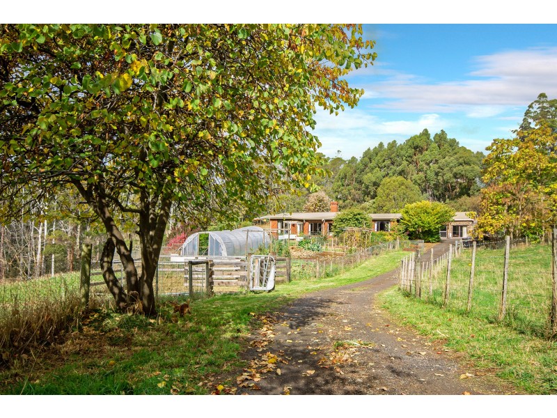 135 Maloneys Road, Sunnyside TAS 7305