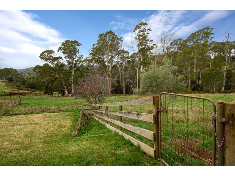 135 Maloneys Road, Sunnyside TAS 7305