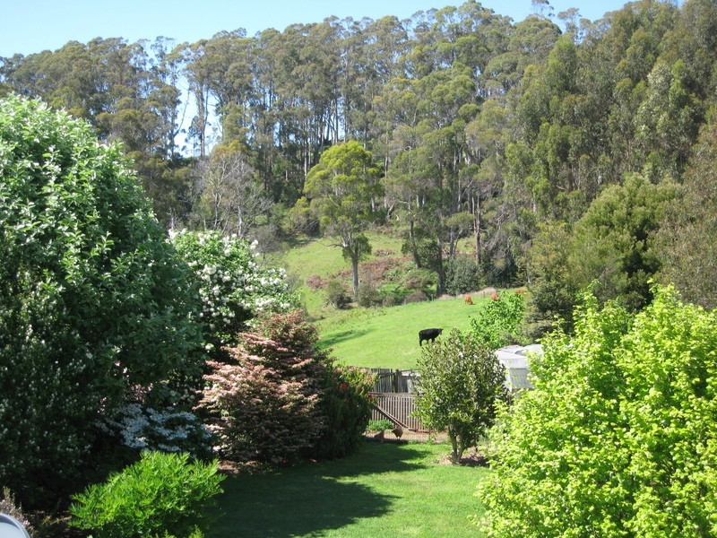 135 Maloneys Road, Sunnyside TAS 7305