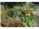 135 Maloneys Road, Sunnyside TAS 7305