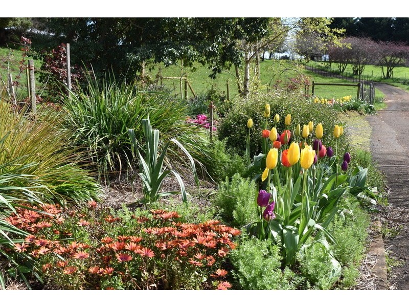 135 Maloneys Road, Sunnyside TAS 7305