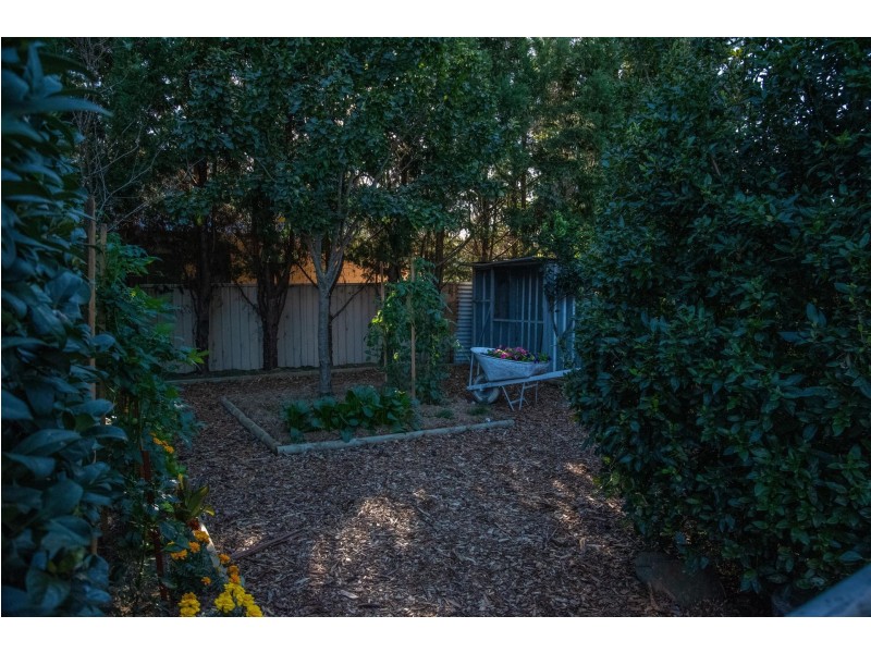 9 Albert Avenue, Thirlmere NSW 2572