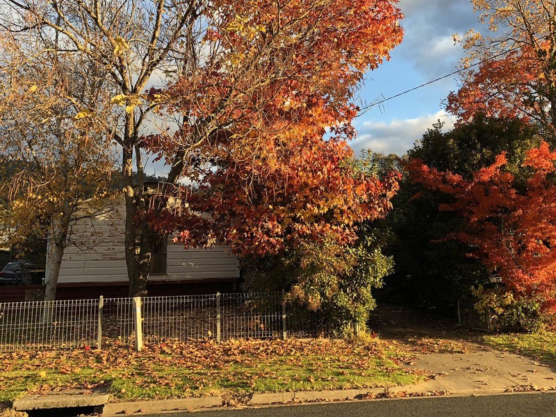 50 Roper Street, Mount Beauty VIC 3699