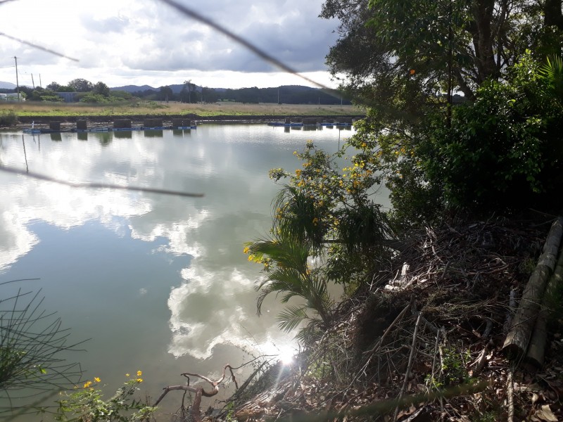 55 Rosedale Drive, Urunga NSW 2455