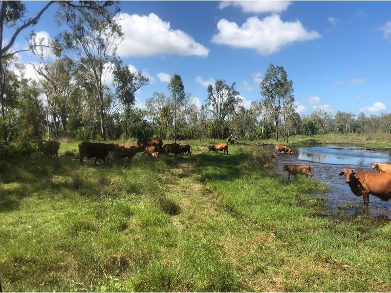 422 Lake Mary Road, Lake Mary QLD 4703