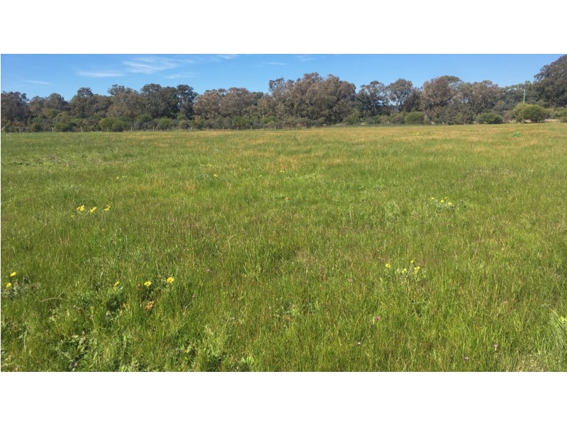 9 Molloy Close, North Dandalup WA 6207