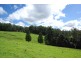 Lot 12 Schultz Road, Billys Creek NSW 2453