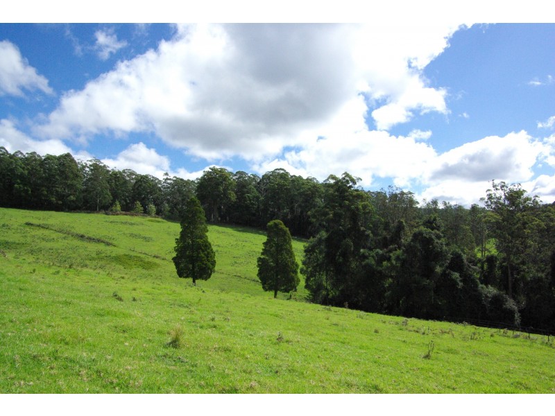 Lot 12 Schultz Road, Billys Creek NSW 2453