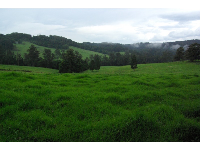 Lot 12 Schultz Road, Billys Creek NSW 2453