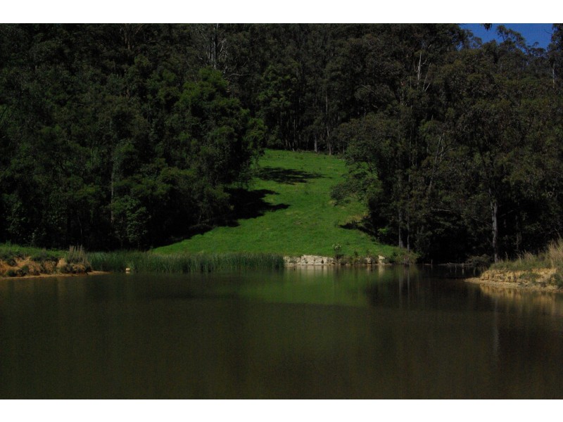 Lot 12 Schultz Road, Billys Creek NSW 2453
