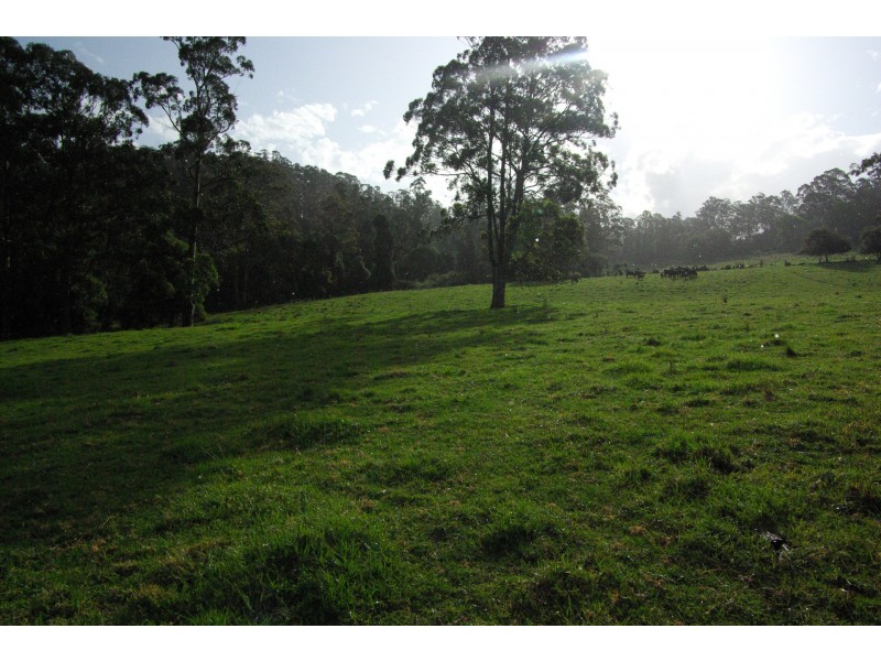 Lot 12 Schultz Road, Billys Creek NSW 2453