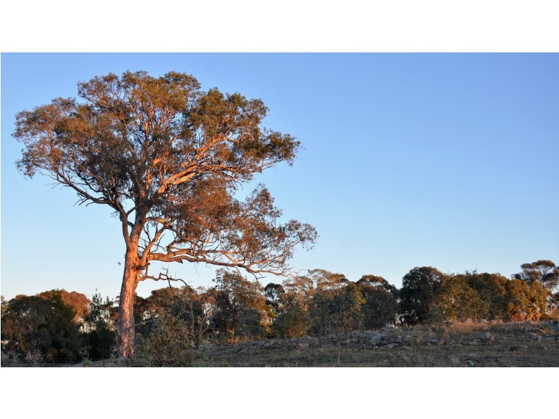 10 Rattenbury Close, Murrumbateman NSW 2582