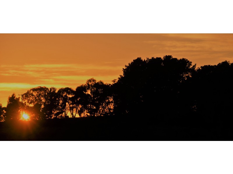 10 Rattenbury Close, Murrumbateman NSW 2582