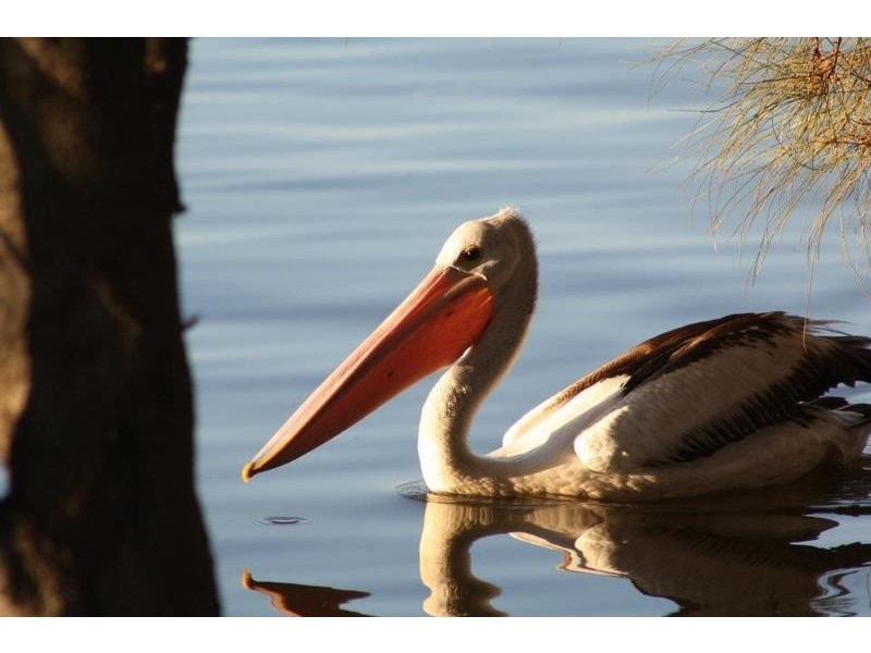 144/12 Wall Street, Maylands WA 6051