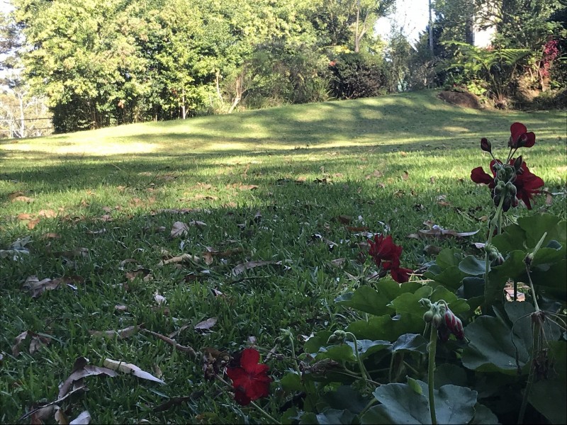 39 Knoll Road, Tamborine Mountain QLD 4272
