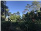 39 Knoll Road, Tamborine Mountain QLD 4272